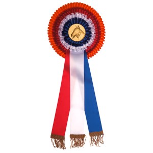 R7P-R7-kampioensrozet-groot-paardenhoofd